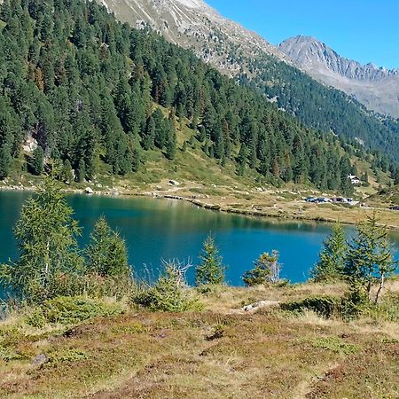 Appartement Eberharter Conny Zell am Ziller Dış mekan fotoğraf