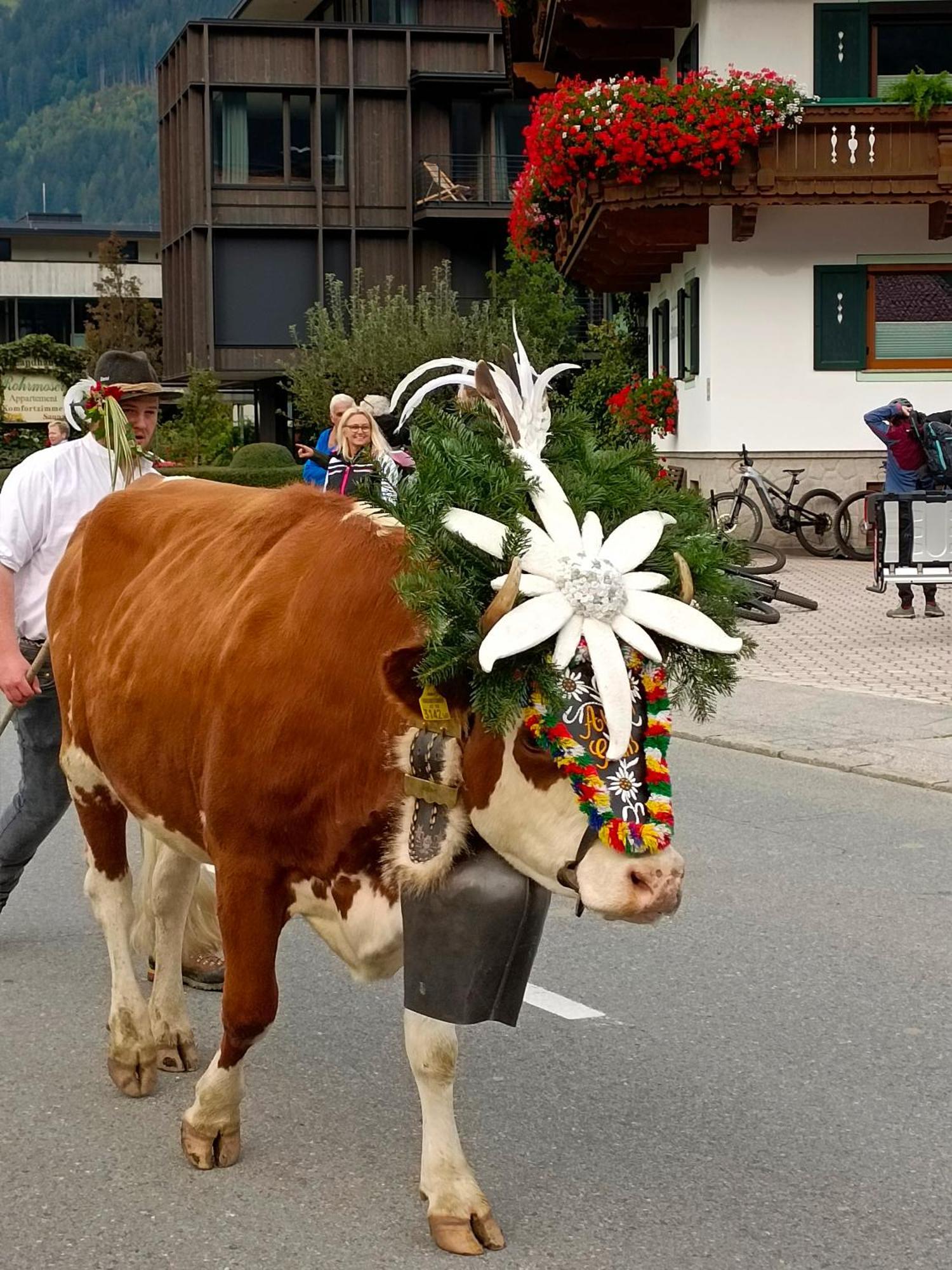 Appartement Eberharter Conny Zell am Ziller Dış mekan fotoğraf